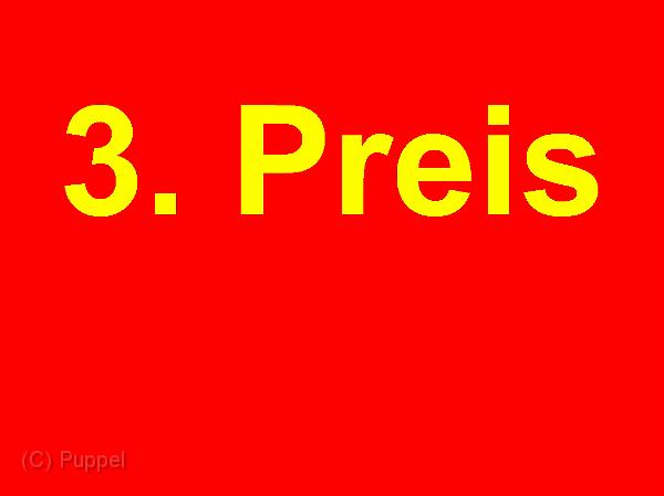 03-3-Preis.jpg