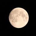 T-20140907-220944_IMG_3411-7a