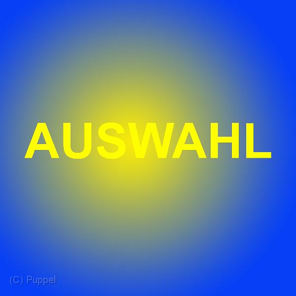 A_AUSWAHL.jpg