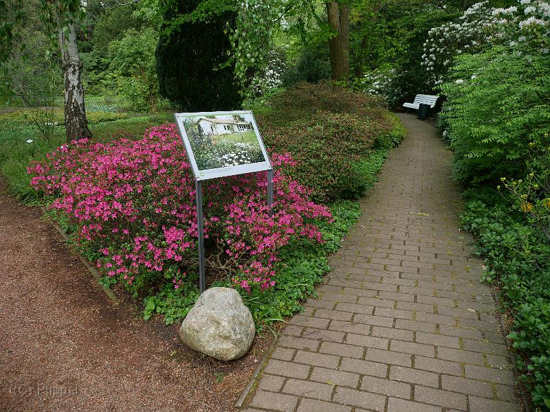 P7600179.JPG