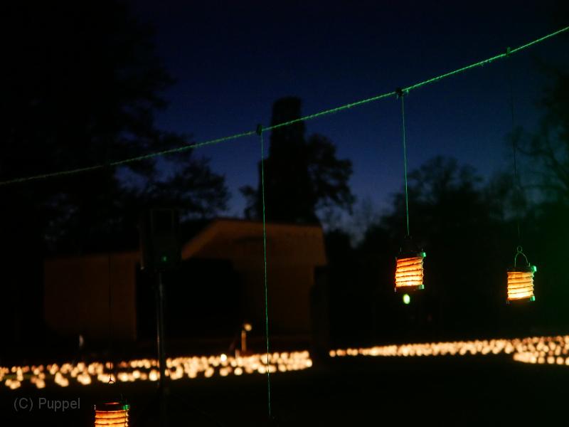 d_010_P8900134.JPG