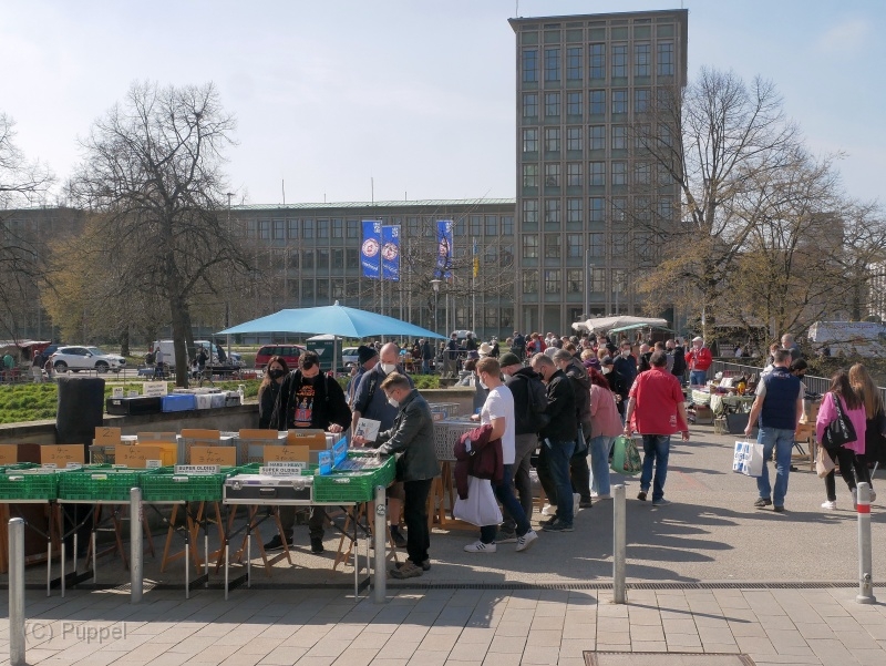 P3010517.JPG
