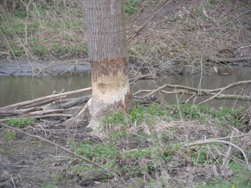 JH-P3190857.JPG