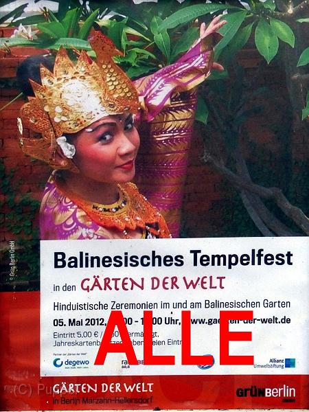 A_Bali-Tanzfest_ALLE.jpg