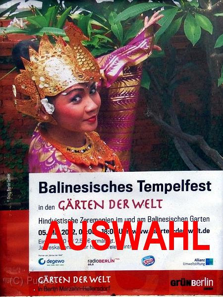 A_Bali-Tanzfest_AUSWAHL.jpg