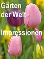 A_Impressionen_