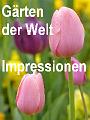 IMPRESSIONEN