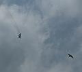T-20140523-122207_IMG_2229-6a