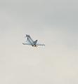 T-20140524-144531_IMG_0987-6a