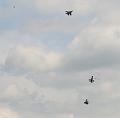 T-20140524-152358_IMG_1204-6a